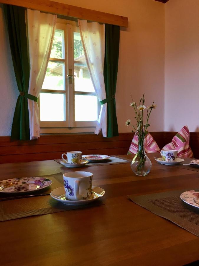 Ferienhaus Trausibauer ستاينز المظهر الخارجي الصورة